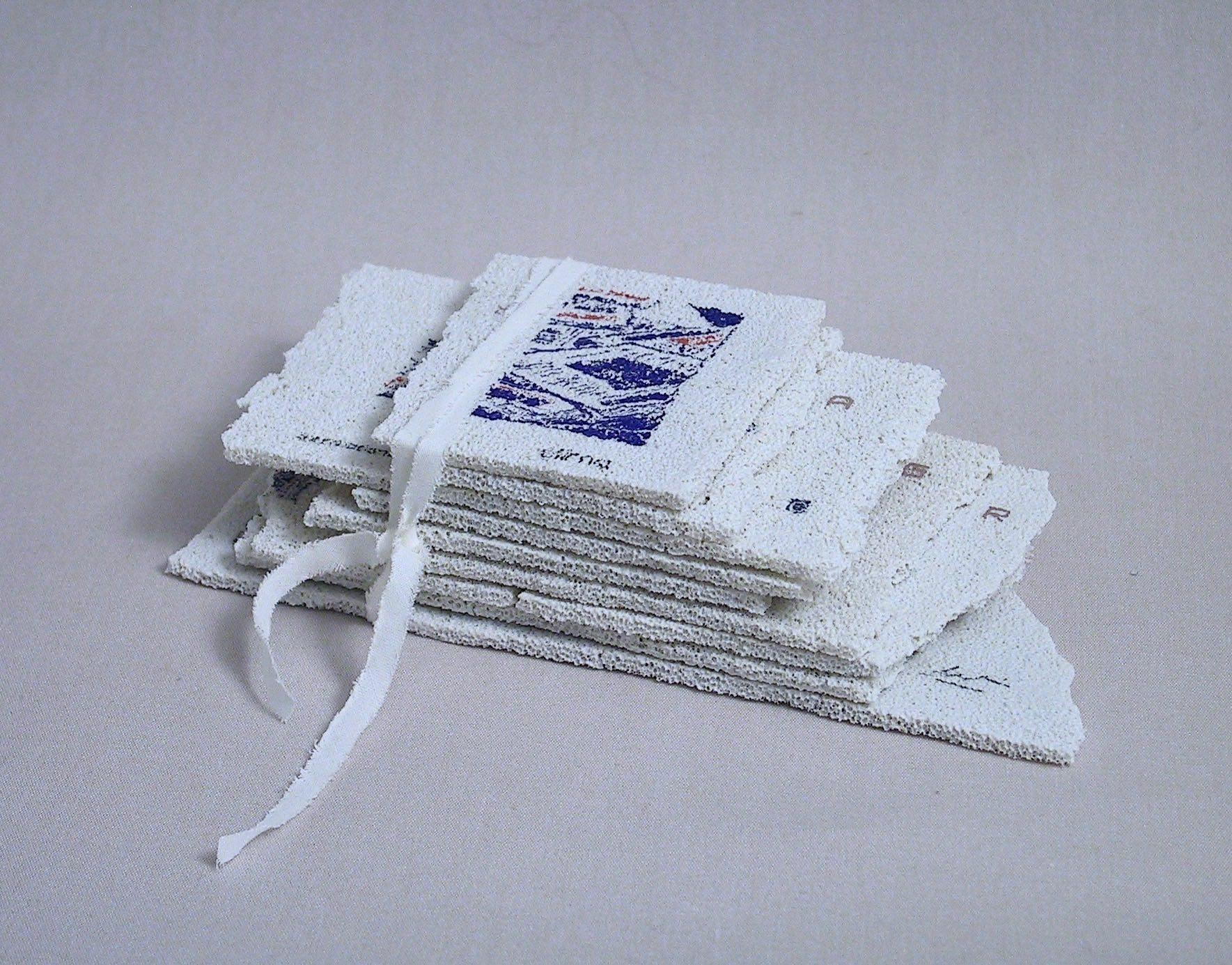 Metamorfosis of the book, porcelain